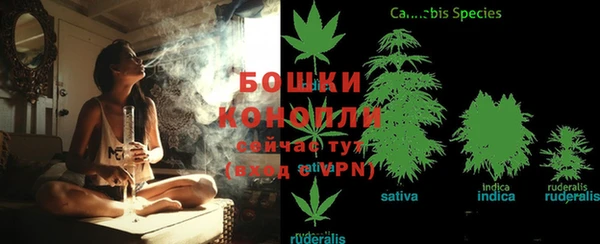 ешки Абаза