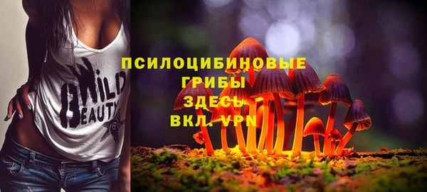 ешки Абаза