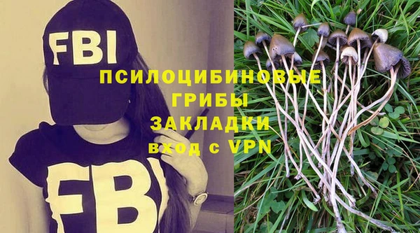гидропоника Абдулино
